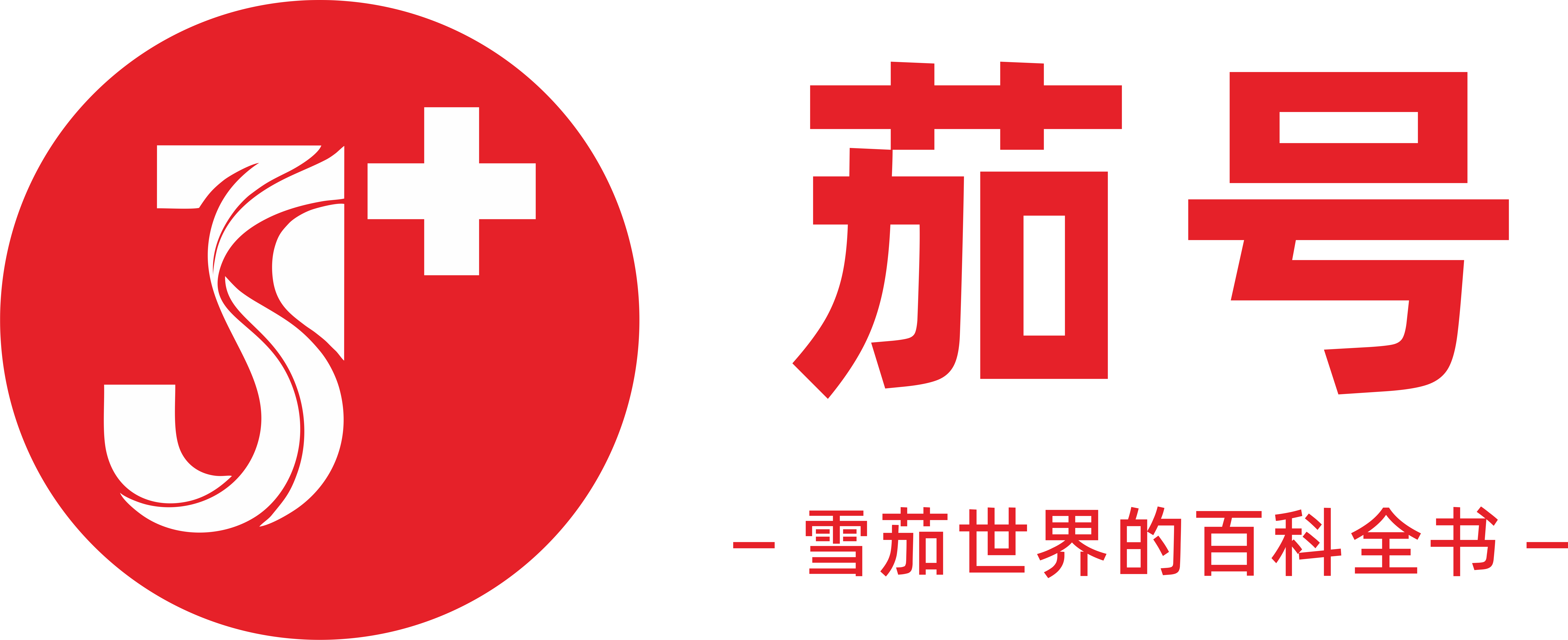 茄号